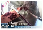 山楂片包裝機